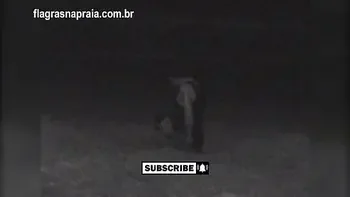 Filmei um casal fazendo sexo na praia a noite. Um segurança botou eles pra correr