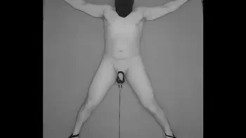 1 HOUR Testicles Electrostimulation Procedure