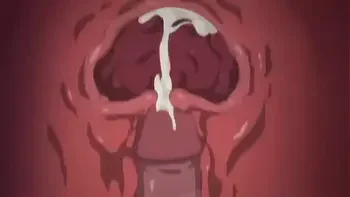 Anime compilation boobs only