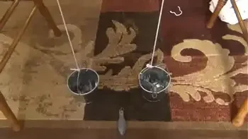 Drea Sister Maria's Predicament