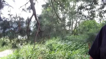 Dogging in the woods and jerking off