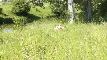 Milf sexy woman sunbathing naked on river bank. Random guy is watching. Naked in public. Public. Publicly. Wild beach Nudist. Perfect ass. Pussy. Blonde. Doggystyle. Woman got into doggy style position. Outdoor. Outside. Outdoors. Nudists. Naturist. POV