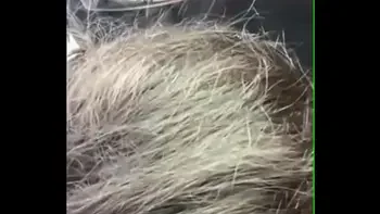 Black sister sucking bbc in car