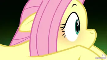 CanaryPrimary - Non-Aggression Pact