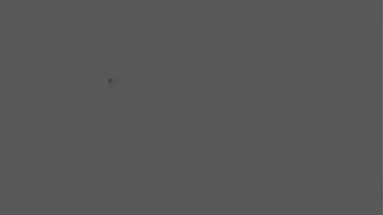 ワシの愛玩人形つな 11