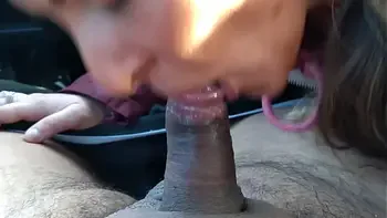 Great Car Blow Swallow