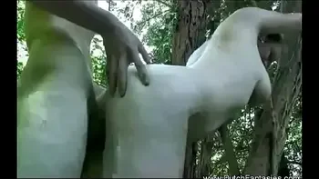 Outdoor Fantasy Of Many Fulfilled