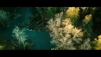 First Fantasy Porn Series