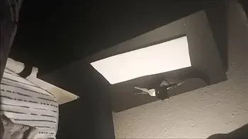 gangbang night, for full in my profile, royal10bbc