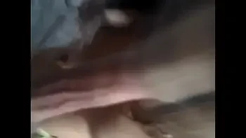 legata la ochi si cu acadeaua cea mare in guritza