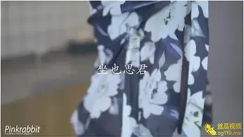 Plot: Bunnys Dream Of Thinking Of The King-the Rabbit In Spring Was Hit By Its Predecessor With King Dream