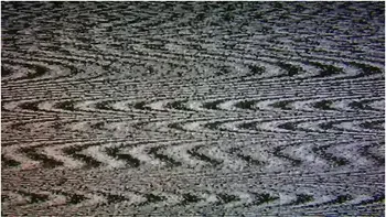 Lacey Lala In Pledge Wants Your Help (and Cock) [trailer]