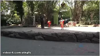 Jamie Marleigh in Jamie Gets To Meet Giraffes Face To Face To Feed Them - ATKGirlfriends