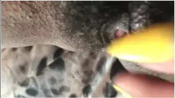 Cumming, Fingering & Peeing All Over Myself. Extreme Cl