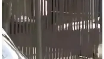 Cocaine Is A Hell Of A Drug