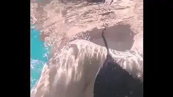 ORGY w/ Anna Polina, Clea Gaultier, Angel Emily - MySexMobile