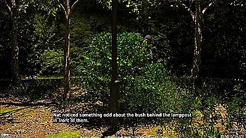 A Couple Duet Love And Lust 10 We Fucked In The Park And Someone Saw Us