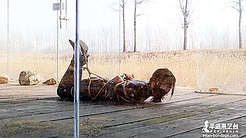 asian chinese bondage shiabri