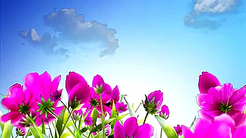 Crazy Porn Movie Hd Newest Exclusive Version