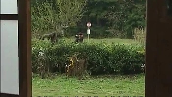 YVD164-NYEJDIXIAF915475981