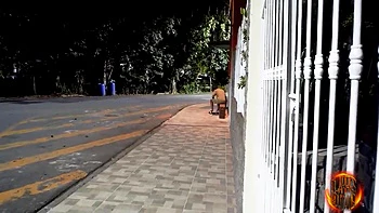 Jealous Bitches Ii Act Et With Candy Crush, Candy Kush And Von Poison