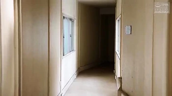 ZCP579-YGVTIGALRG437657943