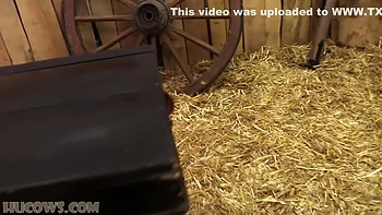 Redheaded Bdsm Lover Finds Her Desires Fulfilled