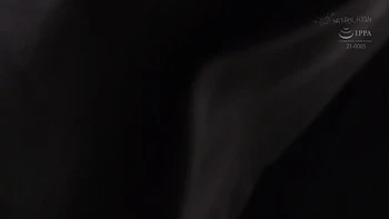 x3x615A036BE77E1EC5B0