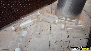 The Shiniest Ass In The Land