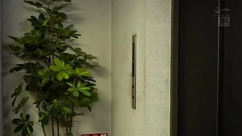 YMLJOFWGOZROJSQOZA52SONE631