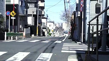 238-routhy-with-routeit-sfs