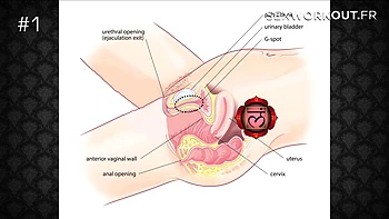 Train Your Naughty Girl With A Sex Coach