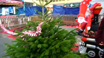 Cataleya only settles for the best! - Jacquie et Michel TV