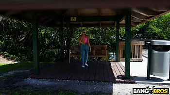 The Snowfall On The Bus