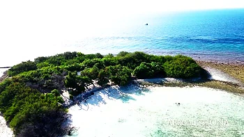 Amazing Beach Directors Cut