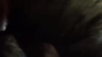 Wife Blow Job At Bathroom