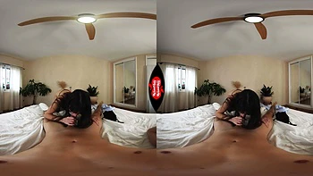 The Morning After Our Business Meeting