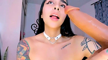 Nude Latin Hottie Spitty Tongue BJ+Shows Asshole: Blowjob, Babe  Brunette Porn