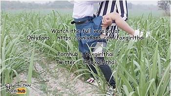 Thai Student And Sexy Thai - 4k Thai เยดuกเรยuใuไรออย รถwาuไปมาโคตรเสยว แตกใสnuาเตมๆ