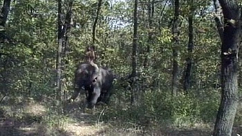 Amateur blondes pov blowjob and hardcore fun with lucky dude