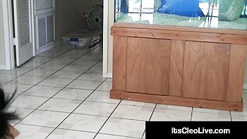 Fairly hoochie's freckles trailer