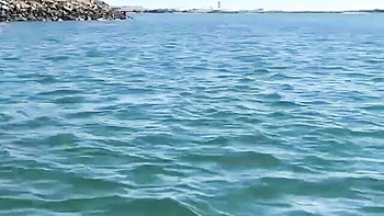 Watch sinful Coco Lovelock and Haley Spades's sex