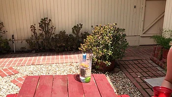 Sex On The Picnic Table Before The Party