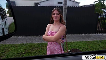 Juniper and Tony Sitting In A Tree