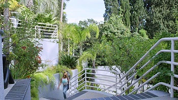 CIMA black and ebony