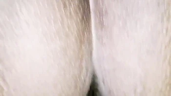 Finally In This Video Full Of Doggy Style Position