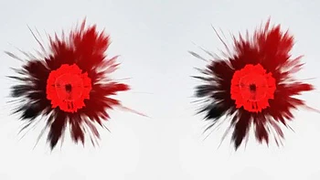 KS2 VR: Blowjob, Doggy  Cowgirl Porn