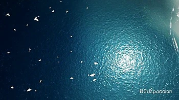 Dazzling Ocean's hd smut