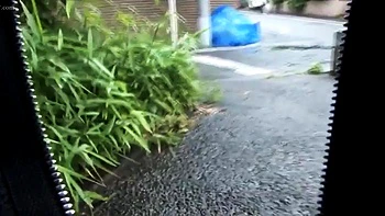 Amateur Asian teen is sexy cocksucker