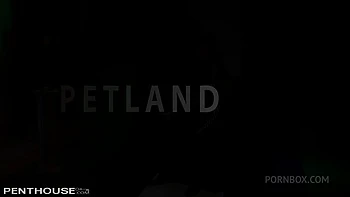 Penthouse Milf mit großen Titten - Folge 2